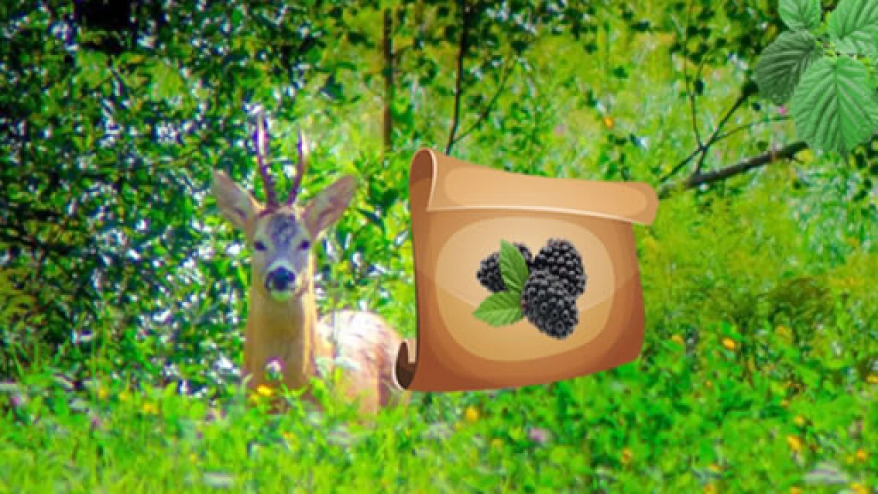 Puzzle Challenge with krizi games image