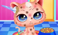Cute Kitty Care - Pet Makeover image