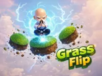 Grass Flip image
