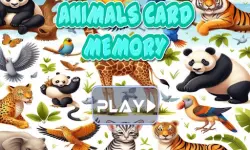 Animal cards memory image