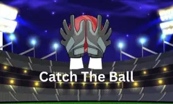 Catch The Ball image