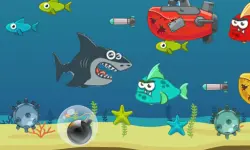 Crazy Shark image