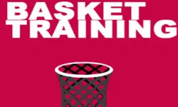 Basket Training image