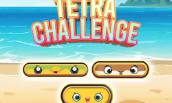 Tetra Challenge image