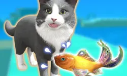 Pet Trainer Duel image