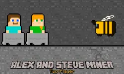 Alex and Steve Miner Two Player image