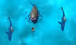 Avoid the Sharks image