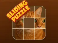 Picture from Puzzles: Blocks! image
