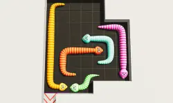 Snake Puzzle image
