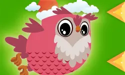 Don #039;t Touch The Stones image