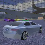 Car Crash